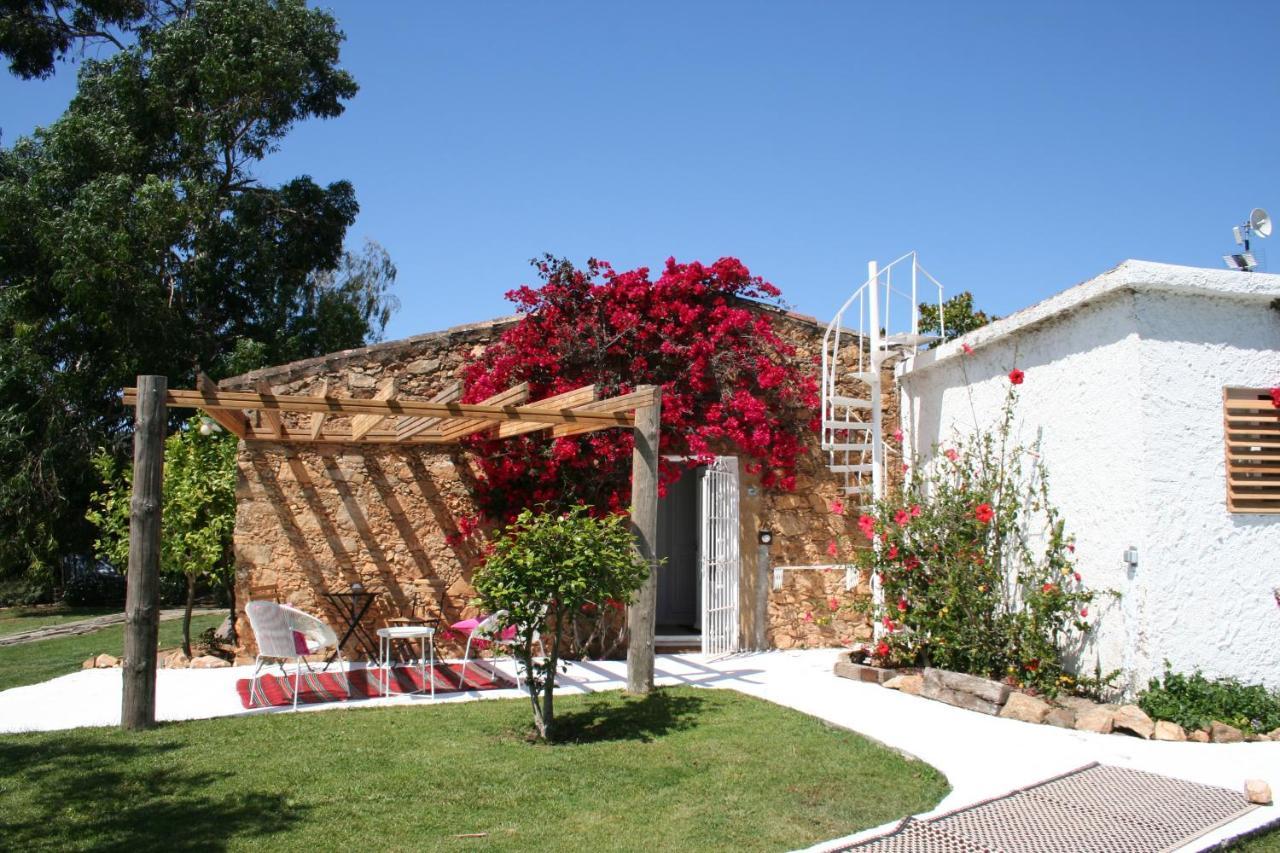 Bed and Breakfast Le Rondini Montrás Exterior foto